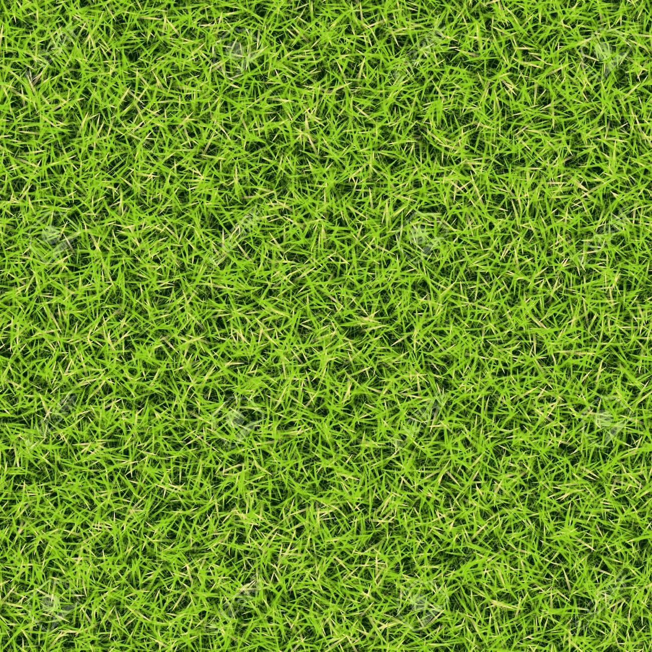 grass top view png