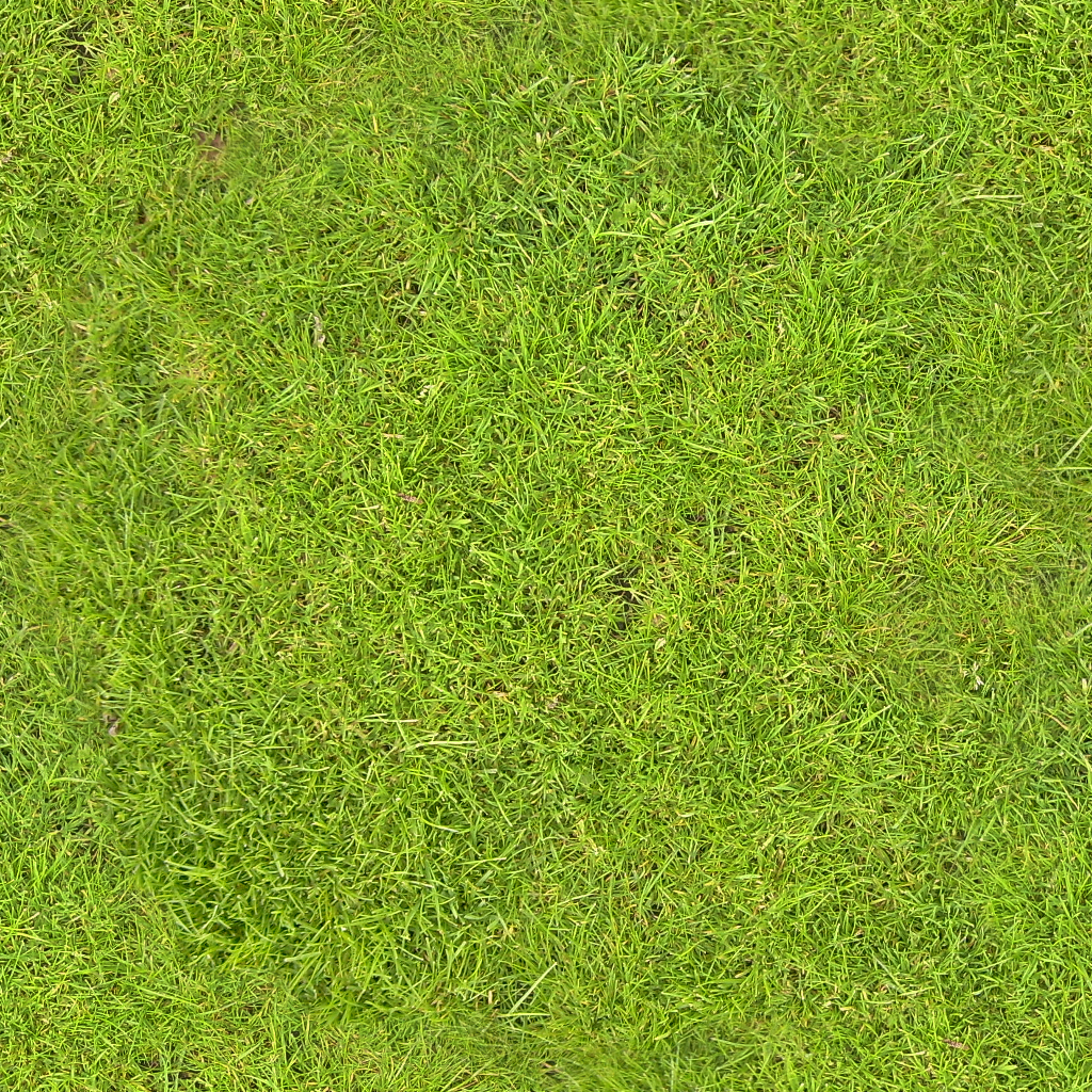 grass top view png