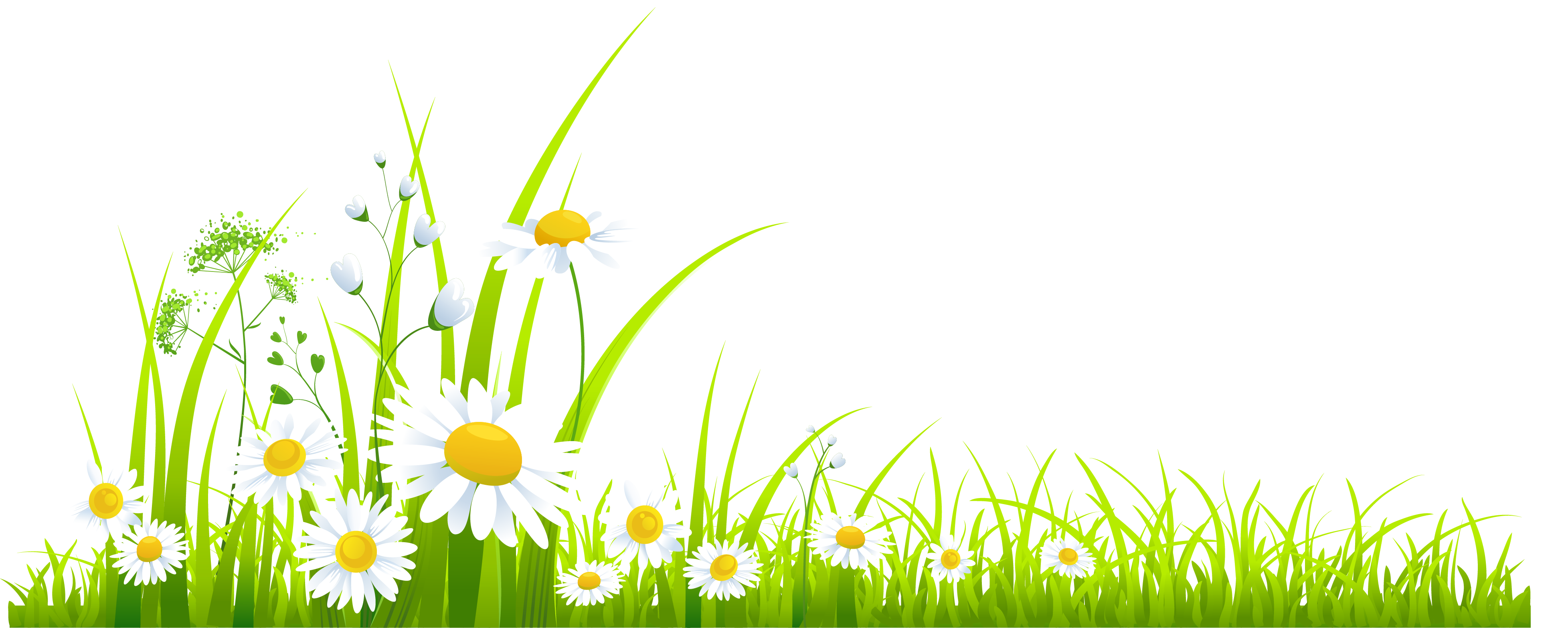 Spring Grass with Camomile PNG Clipart
