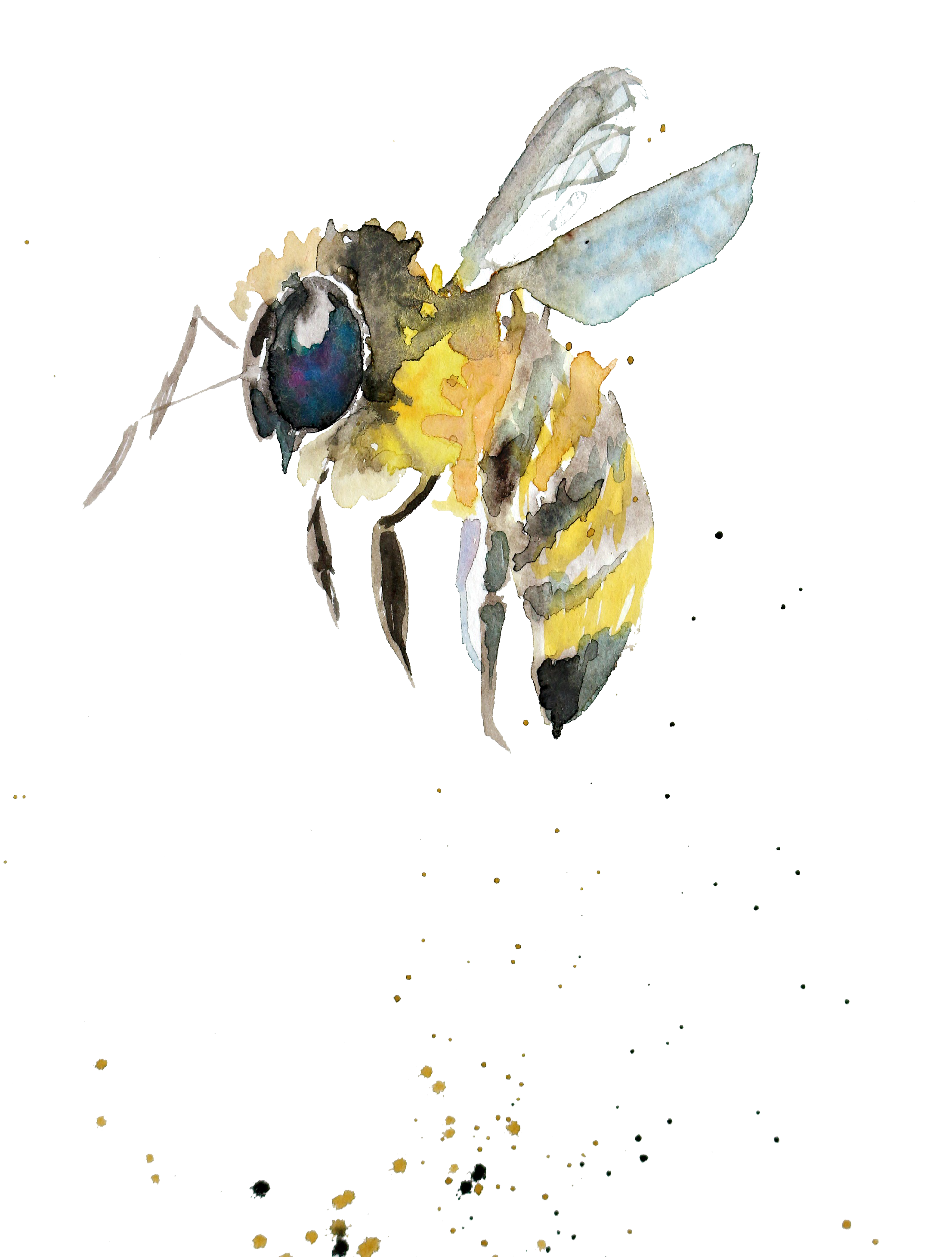 Bumblebee Watercolor painting Drawing Insect watercolor gift transparent background PNG