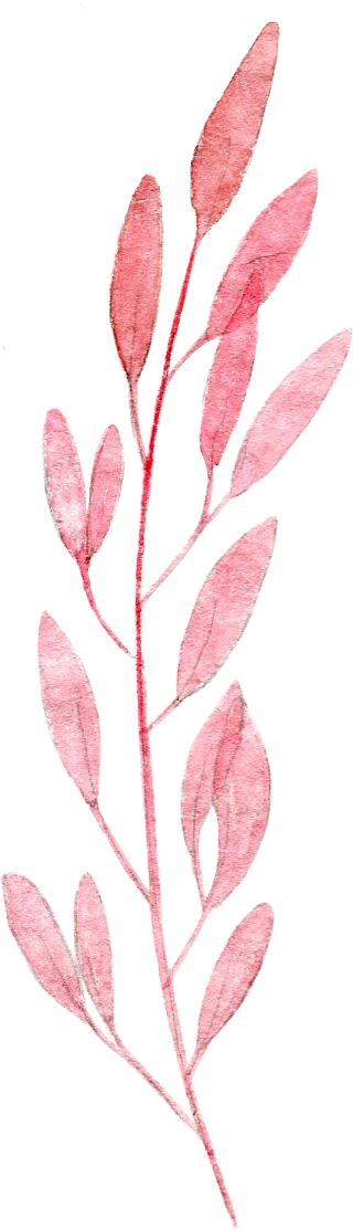 Ovate leaf pink plant illustration Watercolor painting Leaf Pink Drawing Watercolor leaves