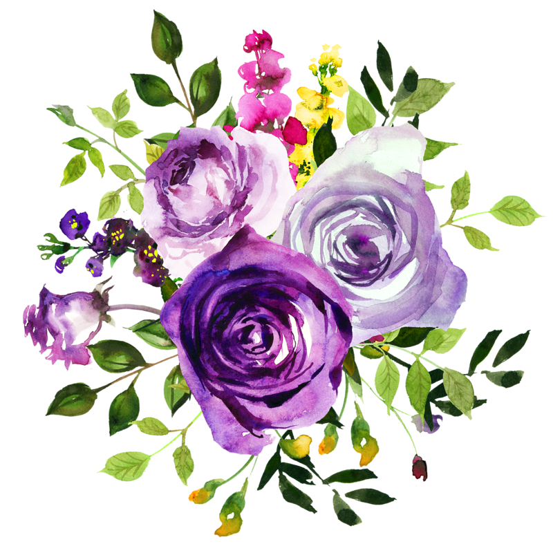 Three flowers illustration Flower Purple Watercolor painting Violet  watercolor rose transparent