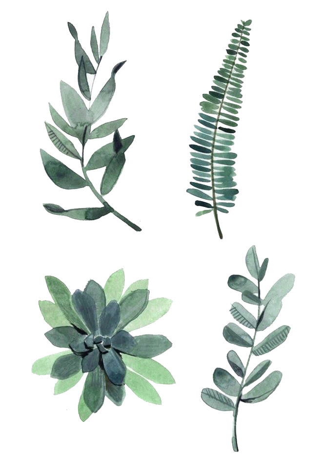 Watercolor painting Drawing Plant Illustration Watercolor leaves four assorted green leaves transparent