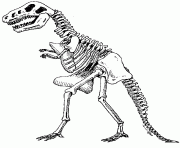 Dinosaur skeleton clip art gallery