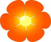orange flower clipart