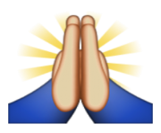 ios emoji person with folded hands