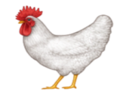 ios emoji rooster