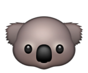 ios emoji koala