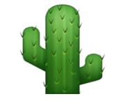 ios emoji cactus