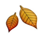 ios emoji fallen leaf