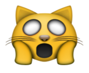 ios emoji weary cat face