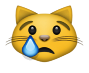 ios emoji crying cat face