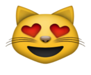 ios emoji smiling cat face with heart shaped eyes