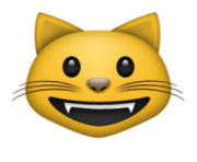 ios emoji smiling cat face with open mouth