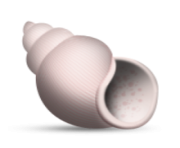 ios emoji spiral shell