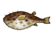 ios emoji blowfish