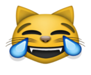 ios emoji cat face with tears of joy
