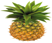 Pineapple Fruit PNG Clipart