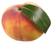 Peach with Leaf PNG Clipart