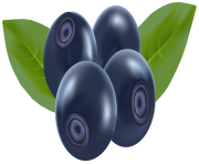 Blueberries PNG Clip Art