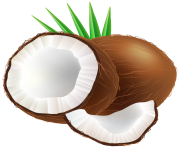 Coconut PNG Clip Art