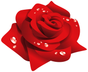 Red Rose with Dew PNG Clipart