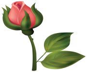 Stem Red Rose Bud PNG Clipart