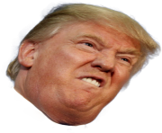 trump face fuck angry transparent png