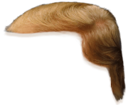 donald trump hair side view png clipart