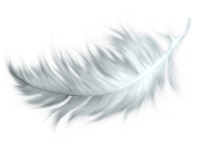 white feather transparent png