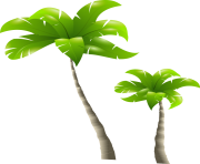 palm tree png image 2497