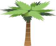 palm cartoon tree png image