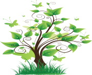 tree png 3484
