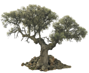 tree png 1380910060