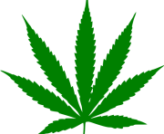 cannabis leaf png