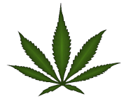 weed leaf png pixel 6