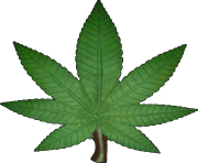 marijuana weed cannabis leaf png