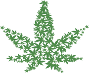 Pot Cannabis Marijuana Leaf png HD iloveimg resized