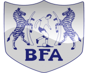 botswana football logo png