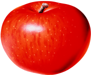 4 png apple image clipart transparent png apple