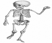 Free skeleton clipart public domain halloween clip art images 2