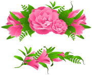 4 2 flowers borders free png image