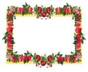 10 2 flowers borders png images