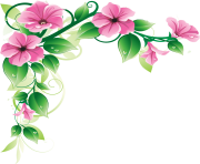 6 2 flowers borders high quality png