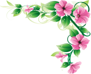 11 2 flowers borders png image