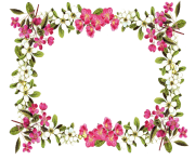 5 2 flowers borders png clipart