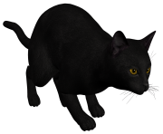 Cat Black PNG Clipart