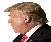 donald trump head will see you un court png