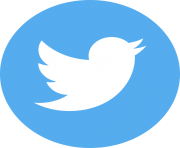 circle twitter logo png