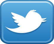 Twitter Logo Png Square Round